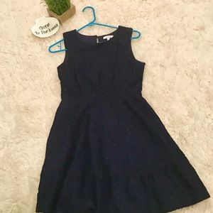 Delia’s Navy Blue Dress